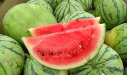 今日吃瓜全集完整版,揭秘娱乐圈幕后真相，带你领略明星们的真实生活